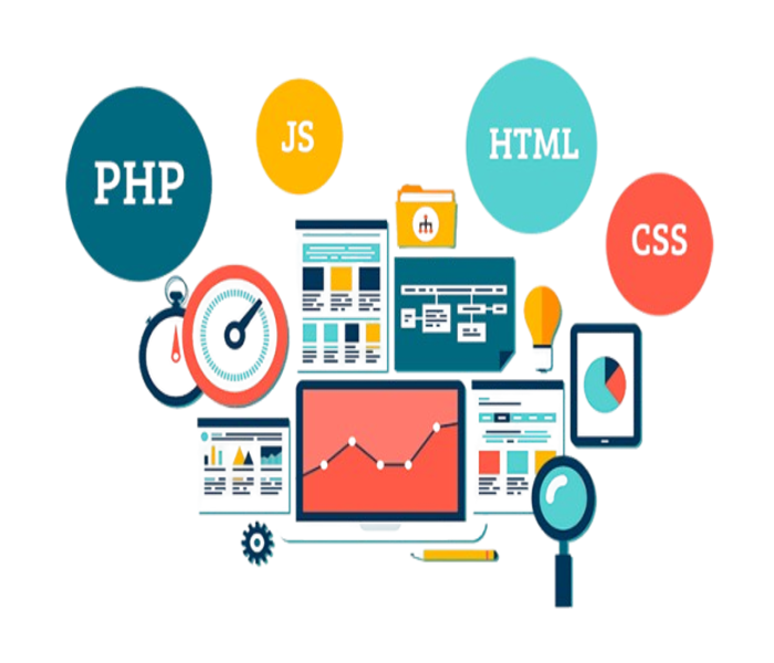 Custom Web Development Solutions